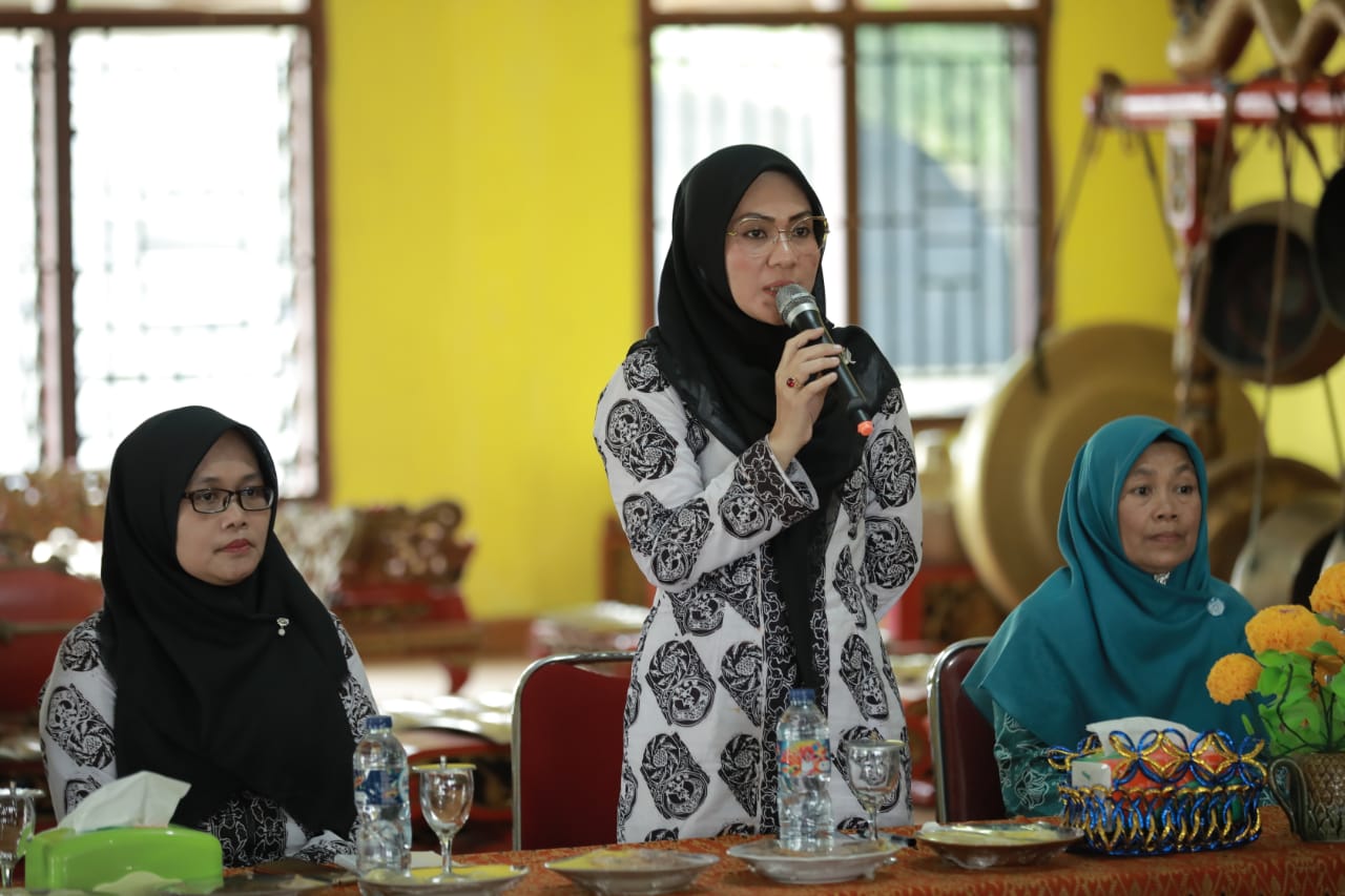 Pelatihan 10 Program Pokok PKK dan Peninjauan Jembatan Gantung di Kecamatan Rimbo Ilir