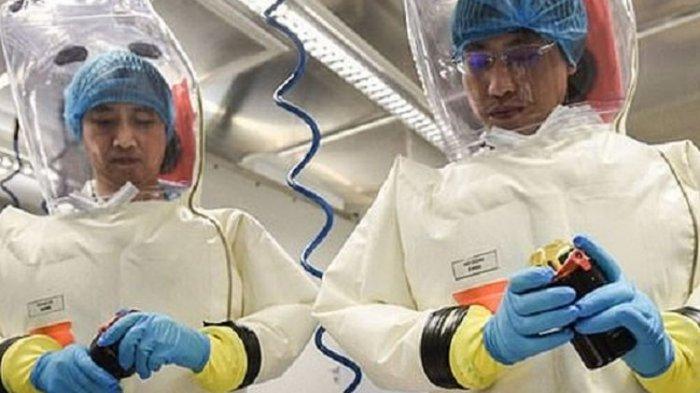 peneliti-dari-institut-virologi-wuhan.jpg