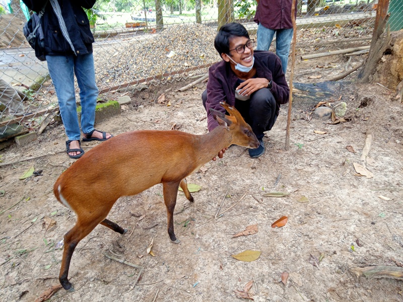 Yuk ke Taman Hutan Kota M Sabki, Ada Aneka Rusa hingga Monyet Lucu