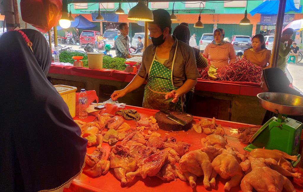 Ini Penyebab Harga Ayam Potong di Tanjab Timur Melonjak Tinggi