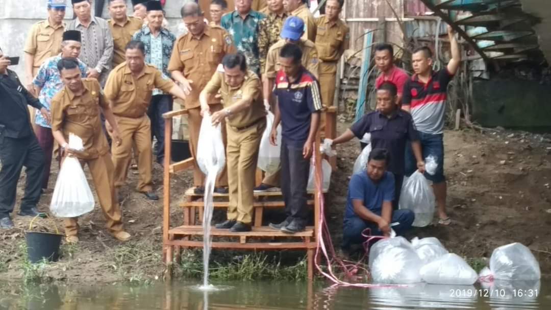 BREAKING NEWS: Ribuan Benih Ikan Langka Disebar di 2 Lokasi di Sungaipenuh,