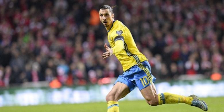 Ukraina dan Swedia Melaju ke Putaran Final Euro 2016