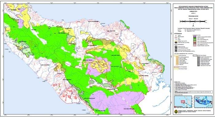 Bukan Hanya Milik Prabowo, Walhi Aceh Beberkan Perusahaan Penguasa Lahan di Aceh