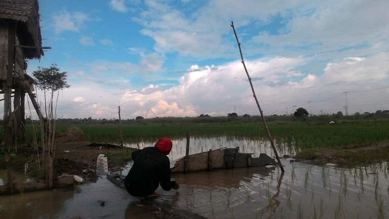 BPS Sebut ada 4 Subsektor Pengaruhi Nilai It Agustus 2017 yang Naik Sebesar 1,53 Persen
