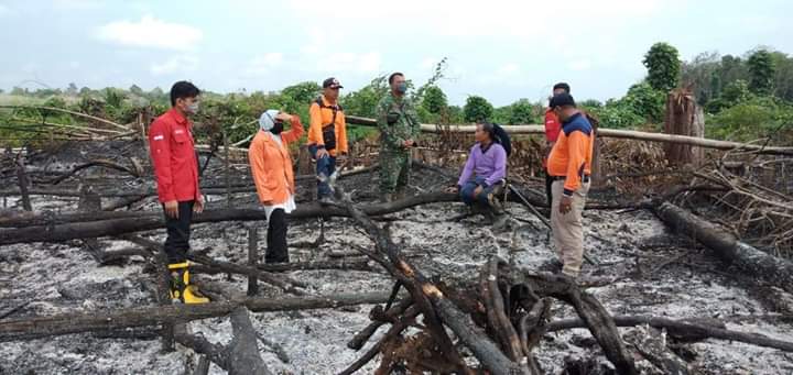 Saat BPBD Tiba Lahan sudah Hangus, Begini Kondisi Sarolangun saat Musim Kemarau
