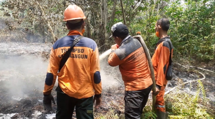 Selama Karhutla, 644 Hektare Lahan Terbakar di Sarolangun, Rerata Lahan Masyarakat