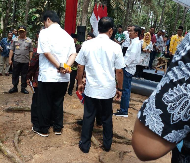 presiden-ri-joko-widodo-saat-berada-di-hutan-pinus-di-kenali-asam-kotabaru-kota-jambi.jpg