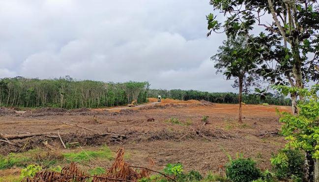 Dampak Tol Trans Sumatera Jambi-Palembang Makam Dipindahkan, Ahli Waris Dapat Ganti Rugi
