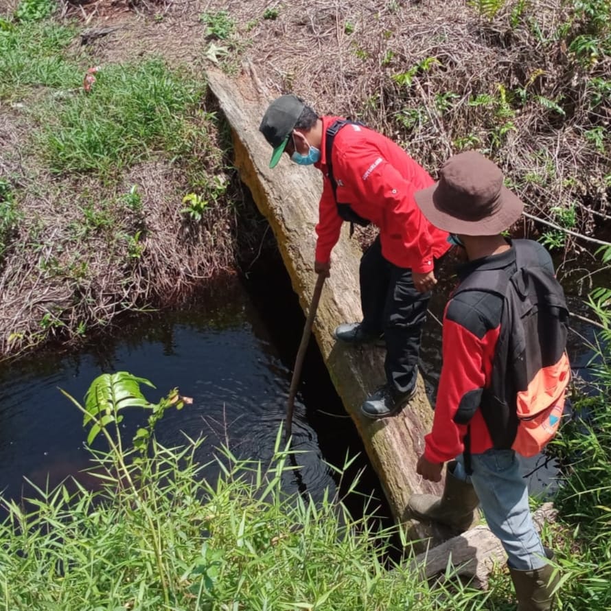 Tim Terpadu Karhutla Sarolangun Cek Lahan Gambut di Pauh