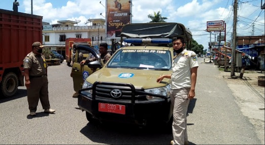 Banyak Sapi Berkeliaran di Jalan Satpol PP Tebo Akan Razia Ternak Hingga Dijual
