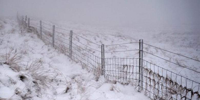 Kisah WNI yang Terdampak Cuaca Ekstrem di Amerika, Keluhkan Tagihan Listrik Karena Nyalakan ini