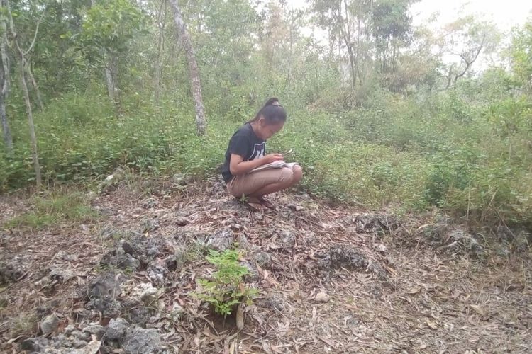 Demi Dapat Sinyal, Siswa di Gunung Kidul Yogyakarta, Mendaki Bukit untuk Kirim Tugas Online ke Guru