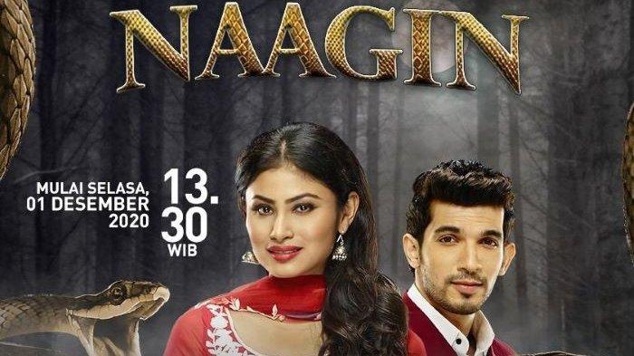sinopsis-serial-naagin-episode-2-di-antv-2-desember-2020.jpg