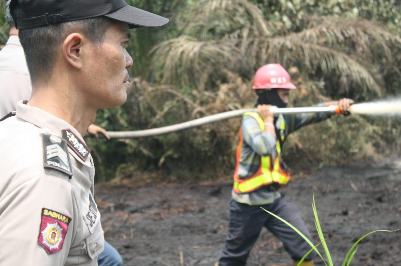 Sudah 2 Hari Kebakaran Lahan di Danau Lamo, Muarojambi, Belum Padam, Berbatasan dengan PT WKS