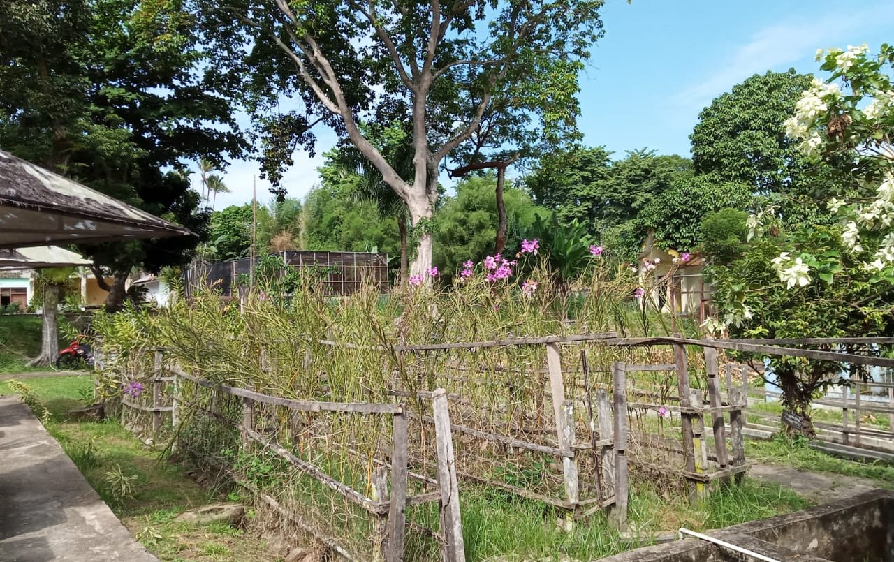 Tutup Karena Pandemi, Taman Anggrek Sri Soedewi Akan Buka Kembali Dalam Waktu Dekat Ini