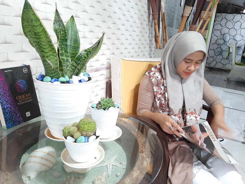 Manfaat Lidah Mertua untuk Ruangan, Penghasil Oksigen dan Penyaring Udara Ruangan