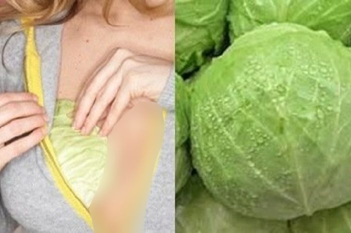 tempelkan-kubis-di-payudara_20180601_222521.jpg