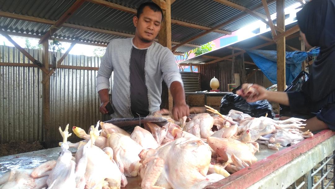 tidak-mau-intervensi-harga-daging-disnakan-bungo-siapkan-124-ekor-sapi.jpg