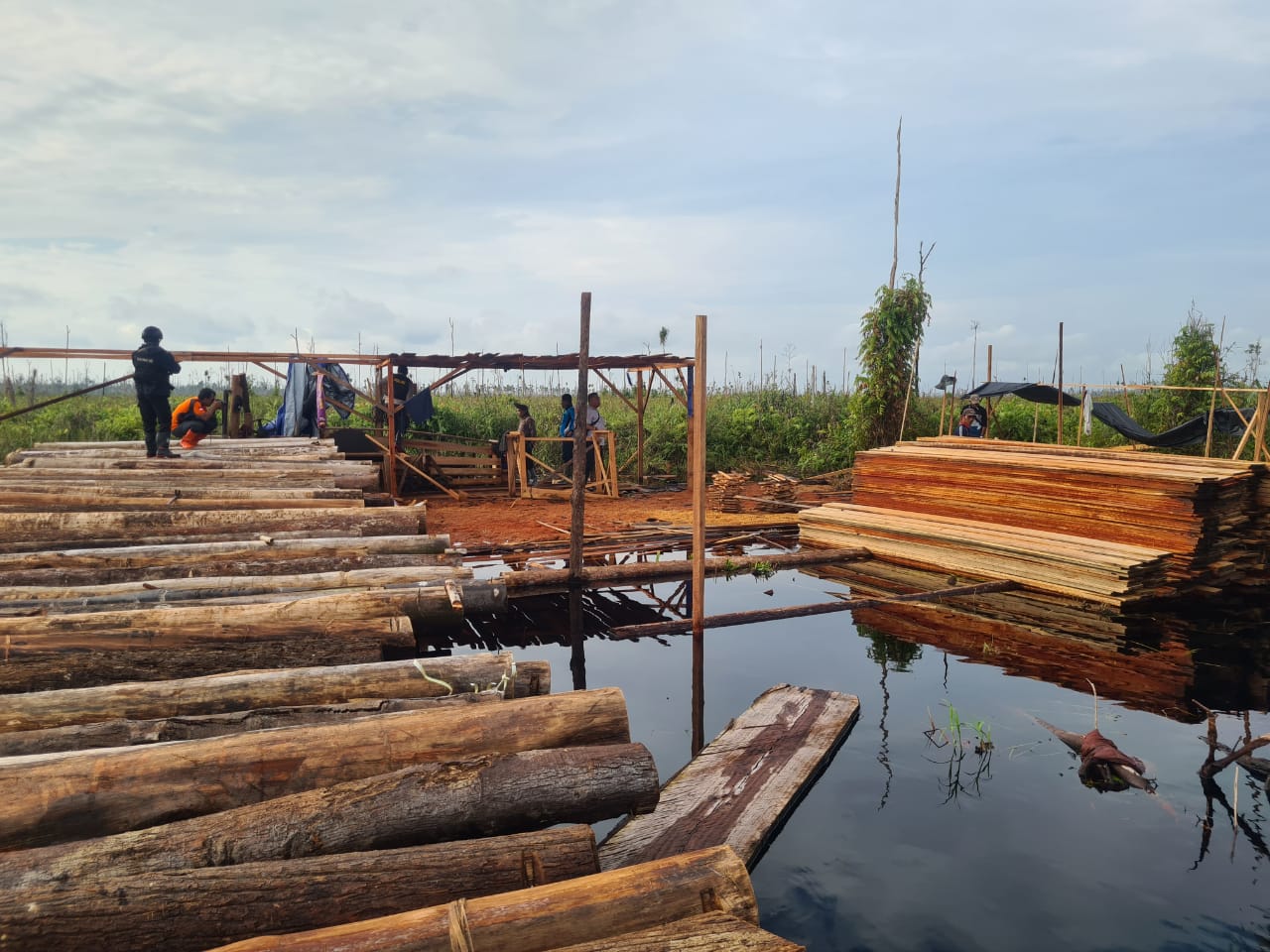 Kawasan Hutan Lindung Gambut Sungai Buluh Dirambah, Dishut Jambi Temukan Jejak Illegal Logging