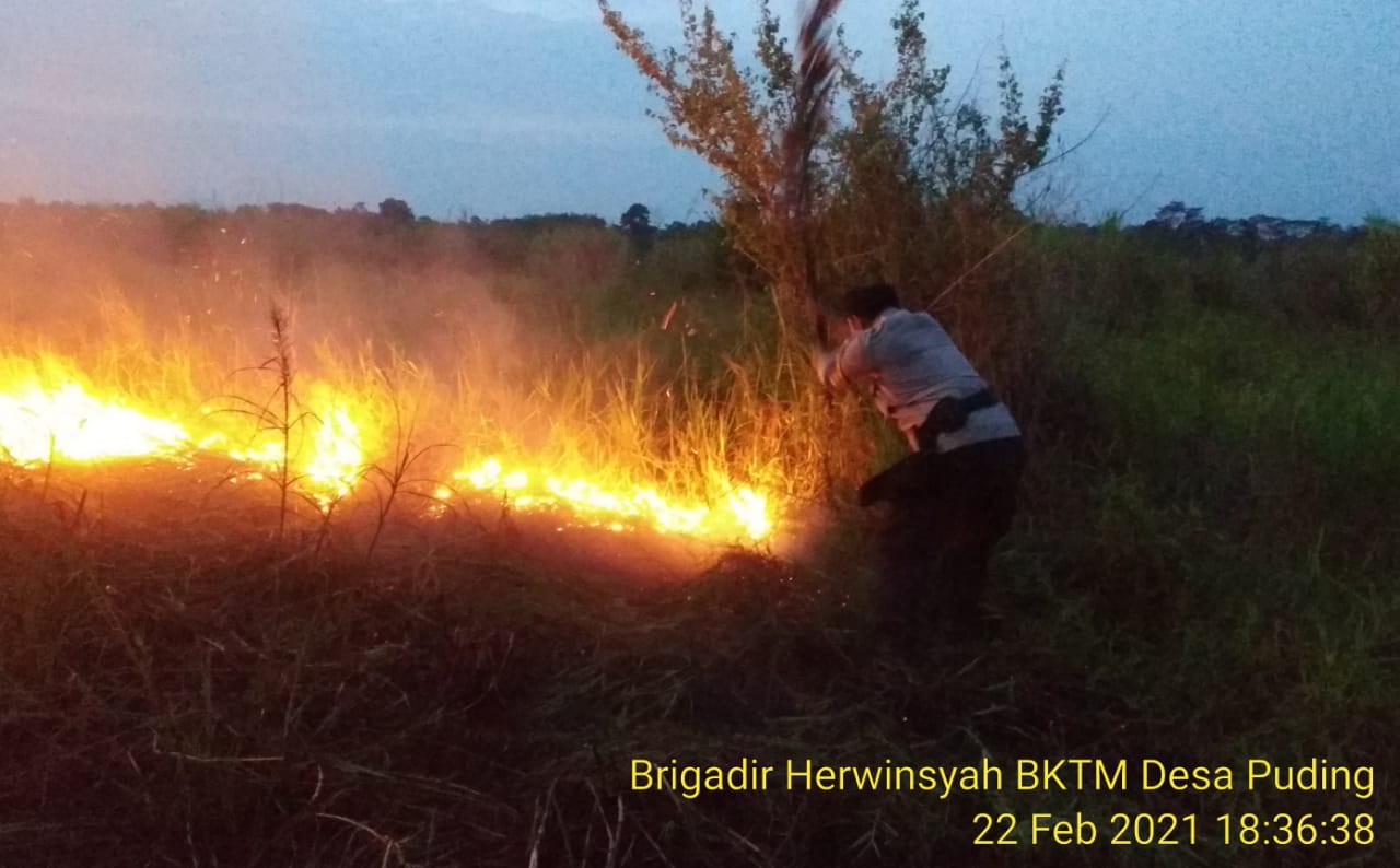 Curah Hujan Minim, Titik Api Karhutla Muncul di Desa Pulau Mentaro Muarojambi
