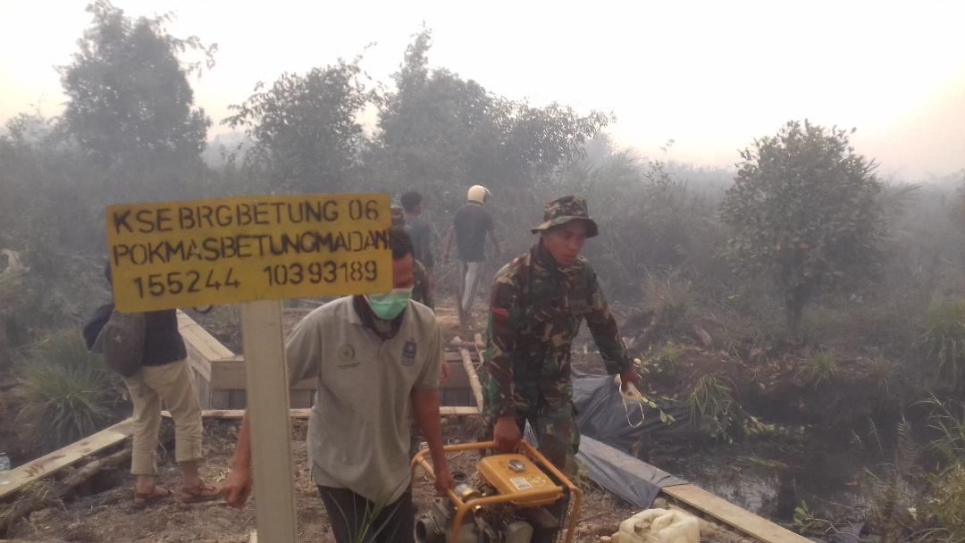 Minim Peralatan, Warga Desa Betung dan TNI Padamkan Api Karhutla Pakai Ember