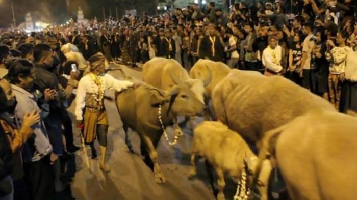 8 Tradisi Unik Sambut 1 Muharram, Mulai dari Mubeng Beteng, Cuci Keris, Hingga Kirab Kebo Bule