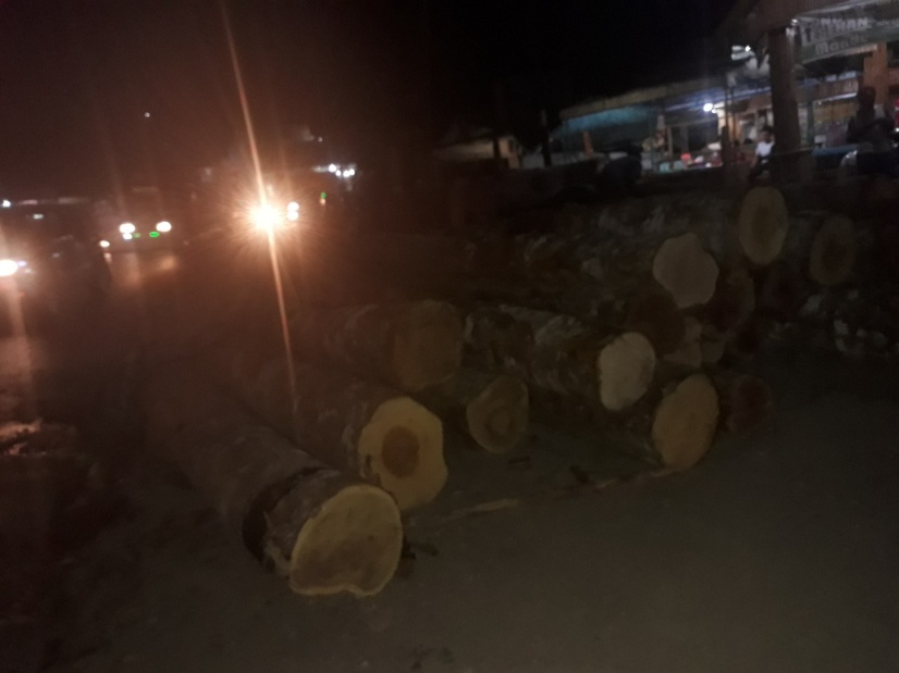 Sudah Truk Terbalik, Kayu Tak ada Dokumen, Sopirnya Kabur