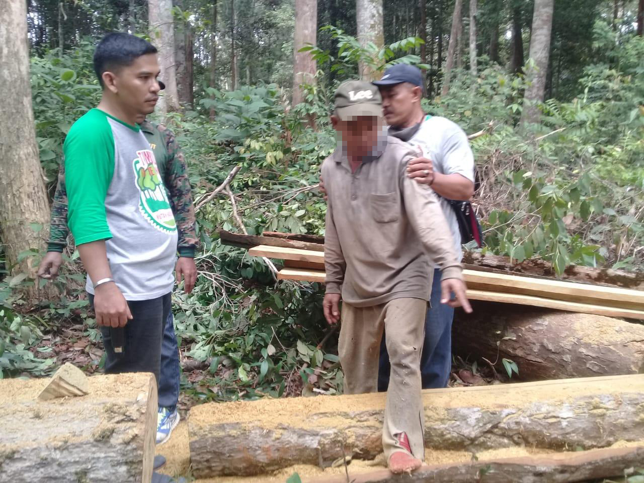 Warga Bayung Lincir, Tertangkap Tangan Sedang Mengolah 3 Glondong Kayu Ilegal di Kawasan PT. Reki