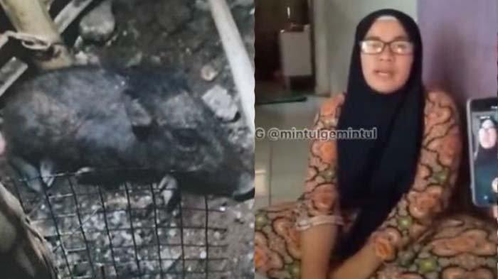 Wati Tuduh Tetangganya Kaya Tapi Tak Bekerja Kini Diusir Warga, Ternyata Sudah Lama jadi Paranormal