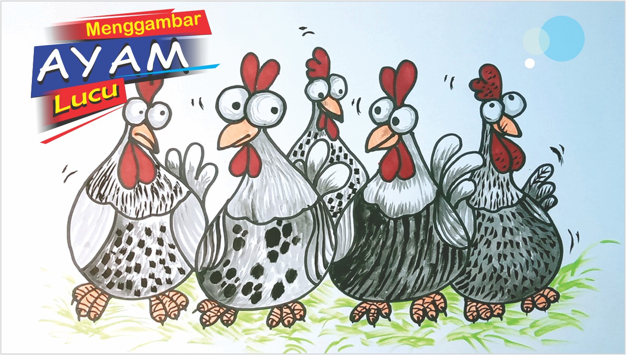 Tutorial Gambar Ayam Jago Lucu, Ada Lima Ekor Lho