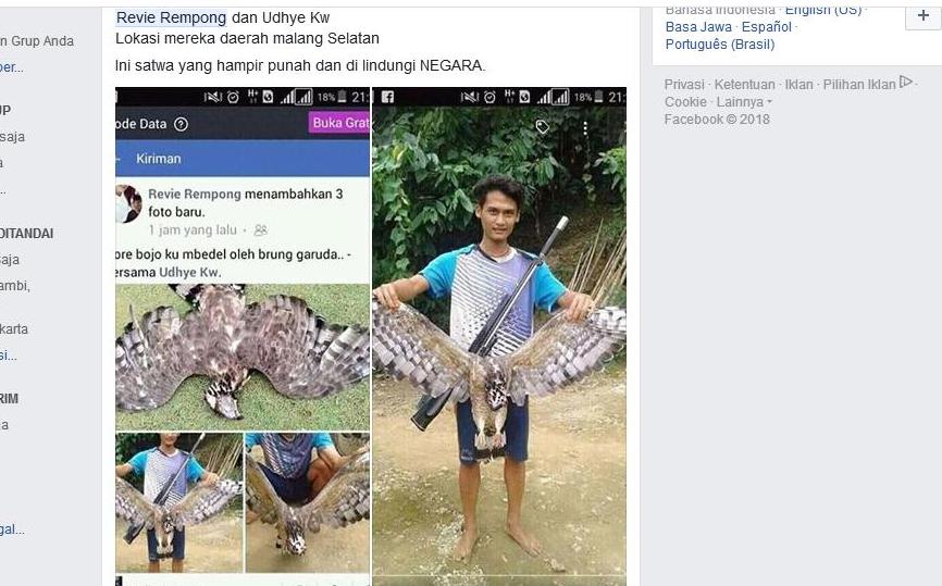 Unggah Facebook Foto Tembak Mati Burung Berjambul Mirip Garuda, Pria di Malang Dihujat Netizen
