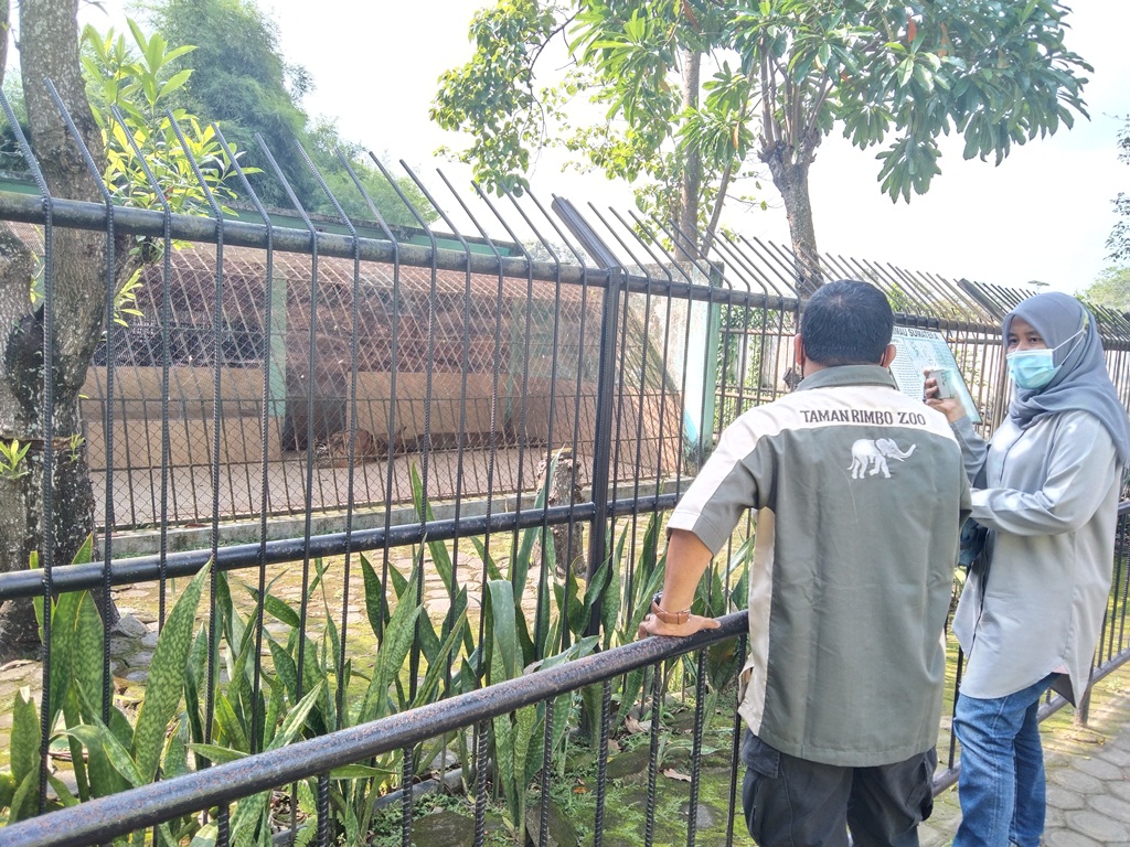 Mengenal Lebih Dekat dengan Uni dan Cinta yang Tinggal di Taman Rimba Jambi