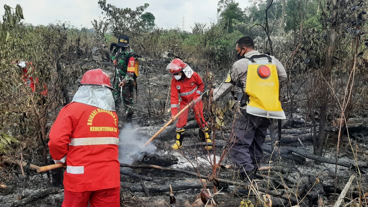 Sinergisitas Dalam Antisipasi Karhutla, Ini Upaya KPHP Batanghari Kendalikan Karhutla