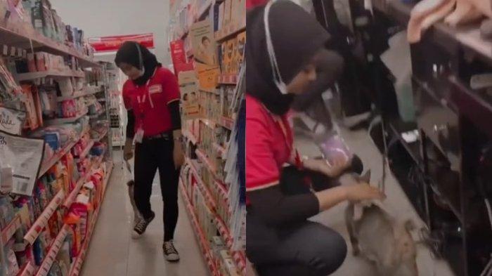 VIRAL Kasir Minimarket Belikan Makanan untuk Kucing yang Kehujanan, Langsung Dipuji Warganet