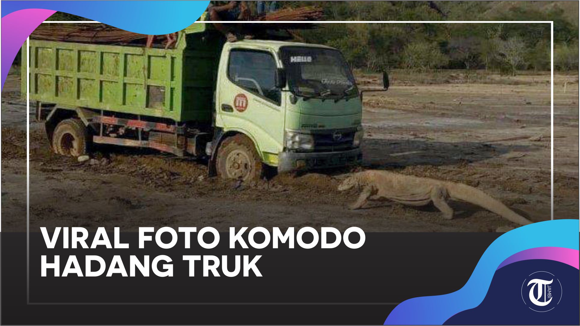 HEBOH! Komodo Hadang Mobil Proyek Jurassic Park hingga Tagar #SaveKomodo Trending Twitter