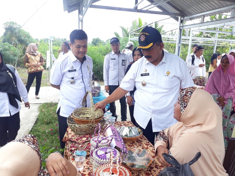 Wabup Amir Sakib Targetkan Tanjab Barat Raih Peringkat Pertama P2WKSS Tingkat Provinsi