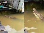 03122017_buaya_20171203_094842.jpg