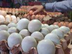 04052020_telur-ayam.jpg