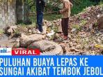 04102024-buaya.jpg