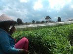 05102017_petani_20171005_172614.jpg