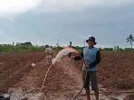 13122024-petani.jpg