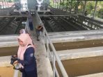 18042018_intake-pdam_20180418_195824.jpg