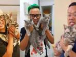 Uya Kuya Minta Penjarah Kembalikan Kucing Kesayangan: Tidak Akan Menempuh Jalur Hukum