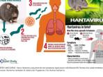 20260508-Kasus-Hantavirus.jpg