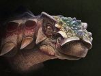 22072018_dinosaurus_20180722_223206.jpg