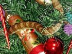 24112016-ular-di-pohon-natal_20161224_230429.jpg