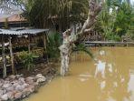 28122023-banjir-rob.jpg