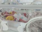 Bayi-kembar-empat-saat-berada-di-inkubator-Rumah-Sakit-Mitra-Medika-Batanghari.jpg