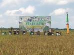 Bupati-Batang-Hari-Fadhil-Arief-saat-panen-raya-di-Desa-Terusan.jpg