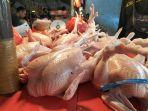 DAGING-AYAM-SELASA.jpg